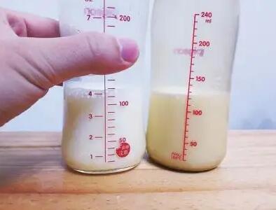 888贵宾会电竞提示稠的母乳要比稀的母乳更有营养？每个阶段的母乳都值得拥有